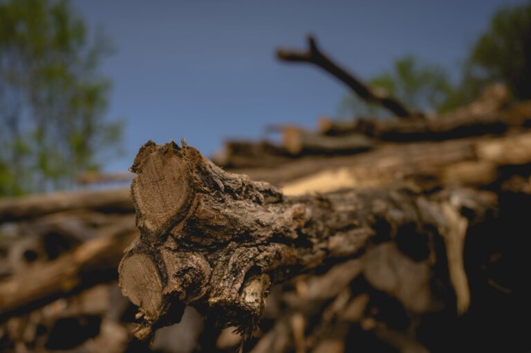 Raised Garden Beds Black Locust
